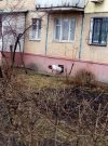 Żul w akcji