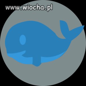 Niebieski wieloryb, gra która zabija już w Polsce