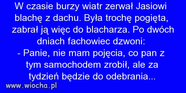Polscy specjaliści