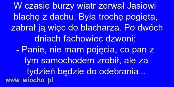 Polscy specjaliści