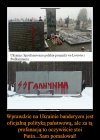 Zawsze winę można zrzucić na kogoś innego.
