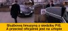 Dobra zmiana-