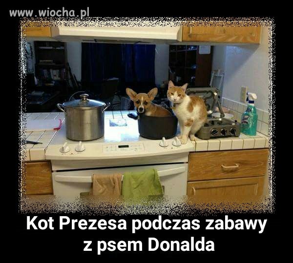 MSZ postarało