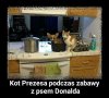 MSZ postarało