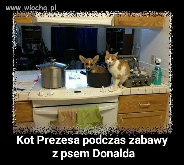 MSZ postarało