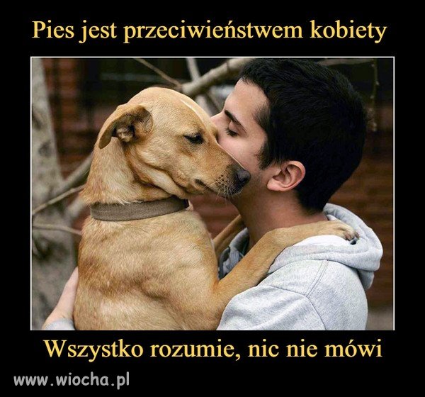 Tak to wygląda.