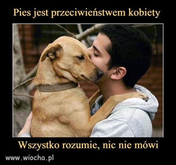 Tak to wygląda.