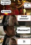 Wszystko