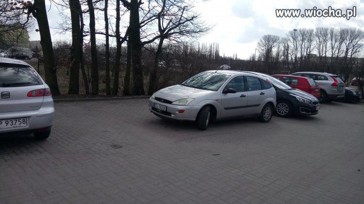 Mistrz parkowania