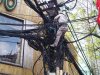 Zaufaj mi. Jestę elektrykię
