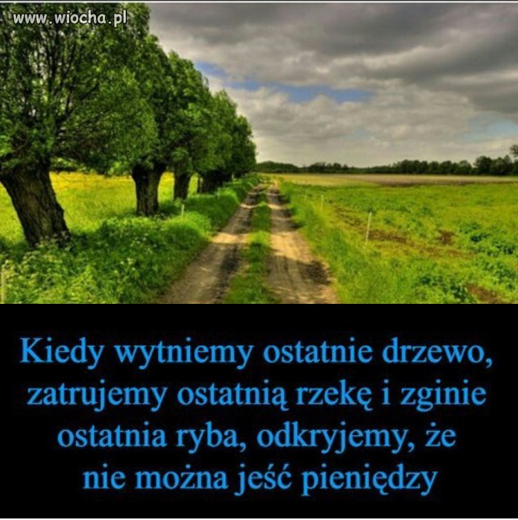 Wyścig szczurów 