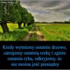 Wyścig szczurów 