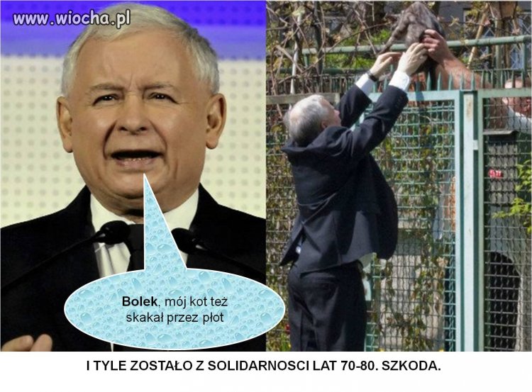 Bolek kontra Balbina