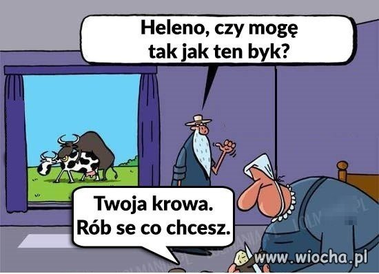 Najlepsza riposta