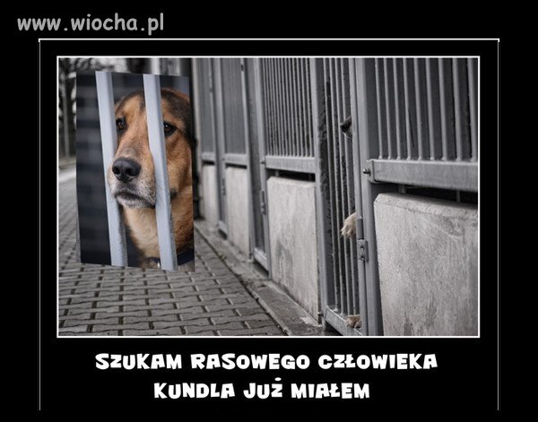 Zwierzęta też mają uczucia.