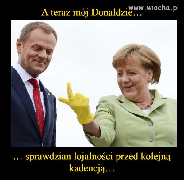 Badanie lojalności