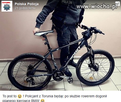 Polska Policja
