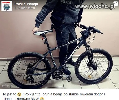 Polska Policja
