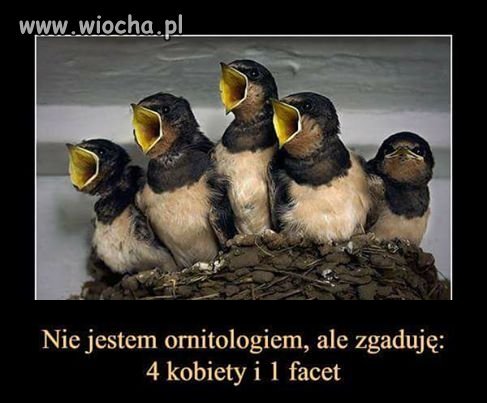 Coś o życiu...