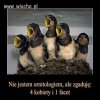 Coś o życiu...