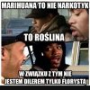 No to oczywiste