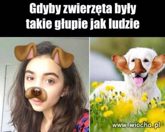 Nasze smutne czasy