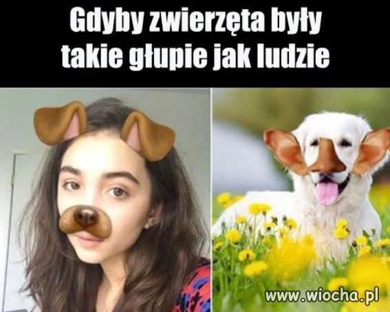 Nasze smutne czasy