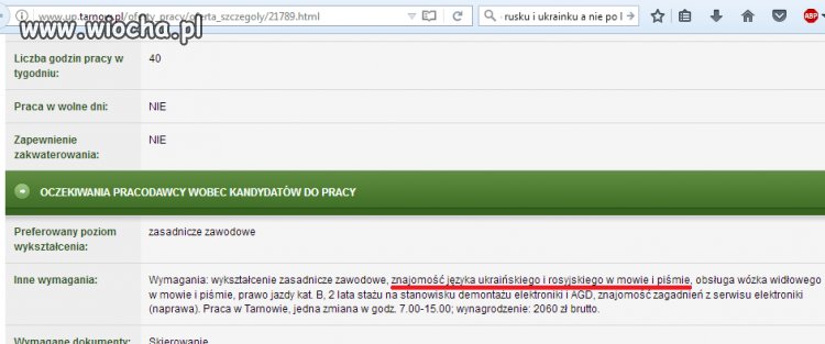 Praca chyba nie dla Polaka?