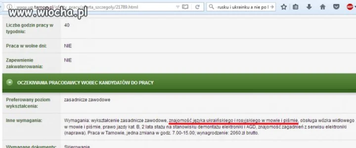 Praca chyba nie dla Polaka?