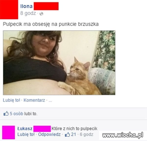 Pulpecik