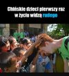 One jeszcze nie kumają