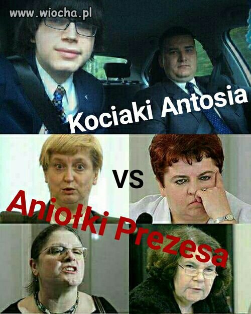Antoś z Jarkiem jednak stawiają