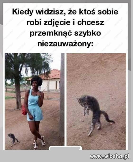 Kiedy widzisz 