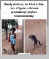 Kiedy widzisz 