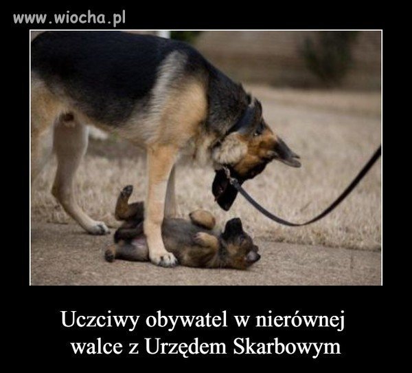 Tak to widzę