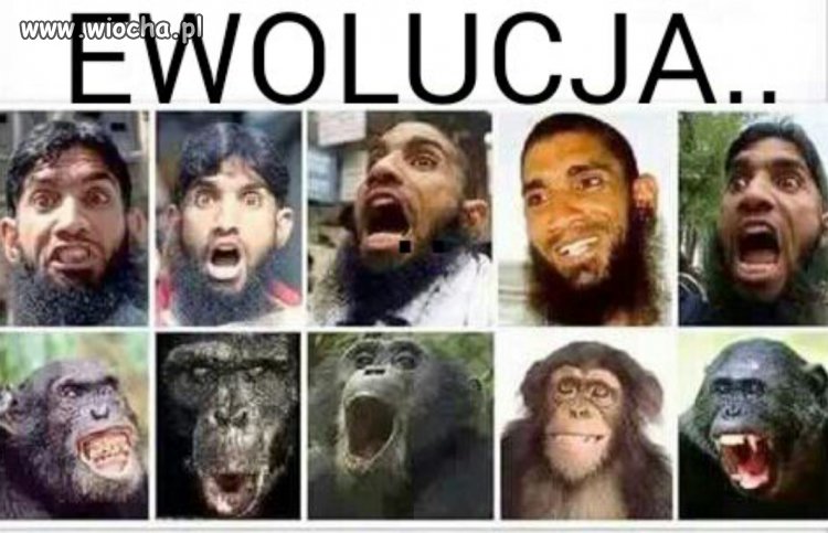 Ewolucja...
