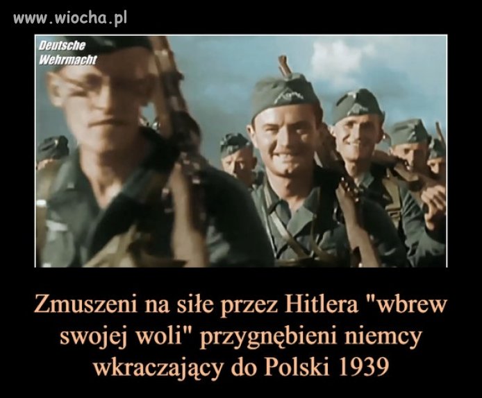 W Brukseli niektóre "mądre" głowy tak uważają
