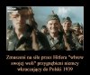 W Brukseli niektóre "mądre" głowy tak uważają