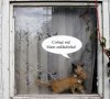 Zakładnik...?