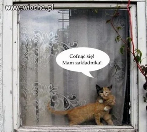 Zakładnik...?