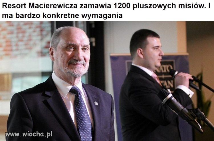 Ten to się chyba zakochał w Misiu