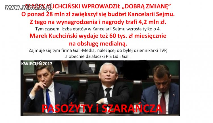 Pasożyty