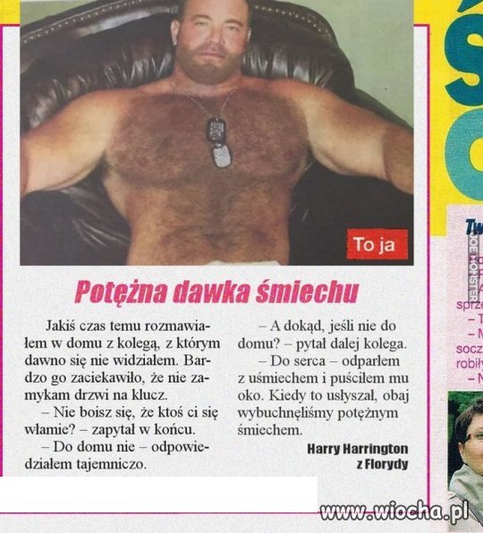 Kosmaty śmieszek