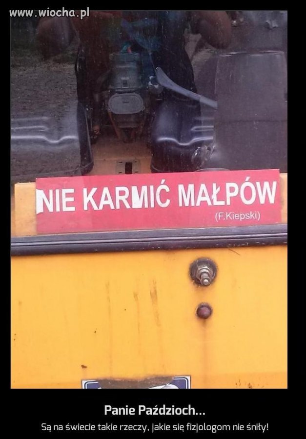 Panie Paździoch