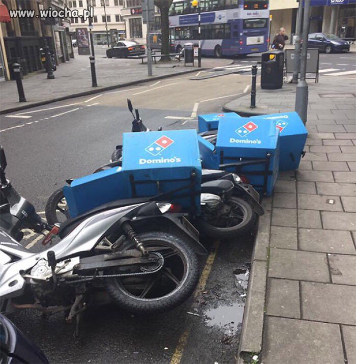 Domino