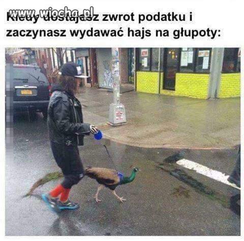 Haha... 