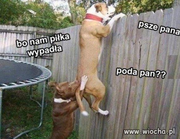 Poda pan?