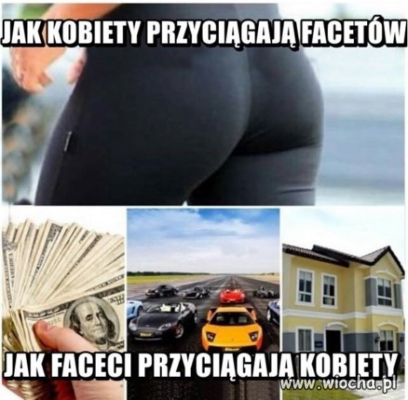 Seksualność i Kasa
