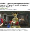 "Dziękujemy" bo już nie wiedzą za co mają robić