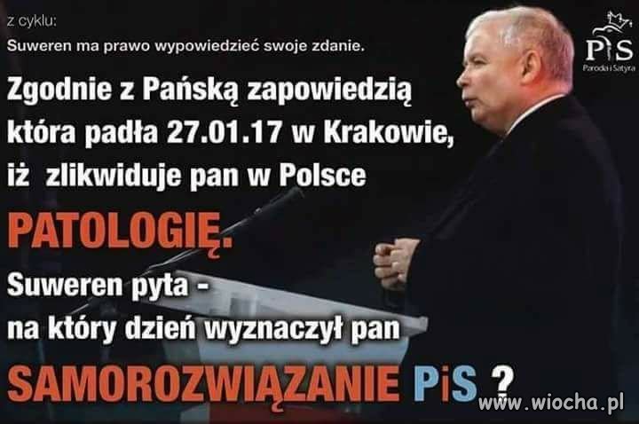 Trafnie to ujął